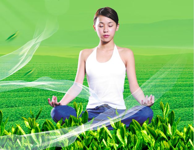 买个假的马丁循道卫理学院学位证